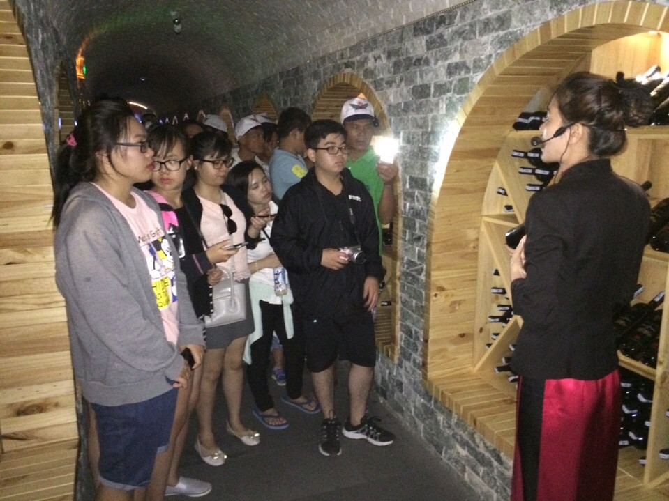 Sinh viên tìm hiểu các loại rượu vang tại lâu đài rượu vang